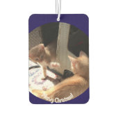 Weihnachten , Katzen Foto , Autolufterfrischer (Rückseite)