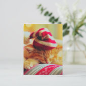 Weihnachten Kitten (Stehend Vorderseite)