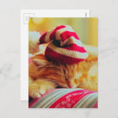 Weihnachten Kitten (Vorne/Hinten)