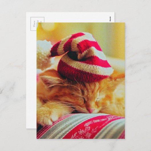 Weihnachten Kitten (Vorne/Hinten)