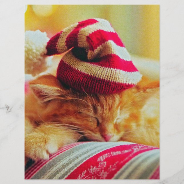 Weihnachten Kitten (Vorderseite)