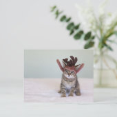 Weihnachten Kitten (Stehend Vorderseite)