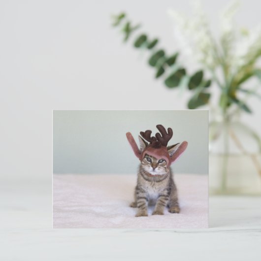 Weihnachten Kitten (Stehend Vorderseite)