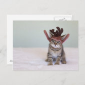 Weihnachten Kitten (Vorne/Hinten)