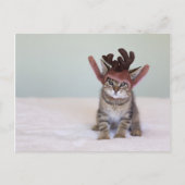 Weihnachten Kitten (Vorderseite)