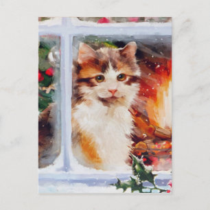 Weihnachten Kitten