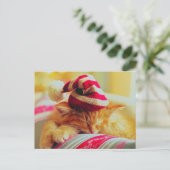 Weihnachten Kitten (Stehend Vorderseite)