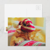 Weihnachten Kitten (Vorne/Hinten)