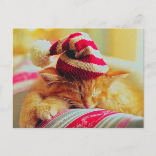 Weihnachten Kitten (Vorderseite)