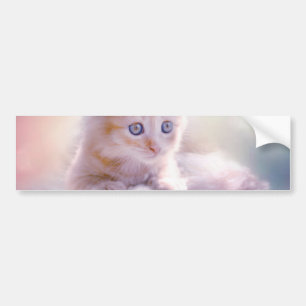 Weihnachten Kitten Autoaufkleber