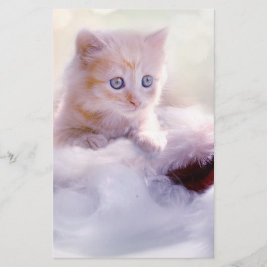 Weihnachten Kitten Briefpapier (Vorderseite)