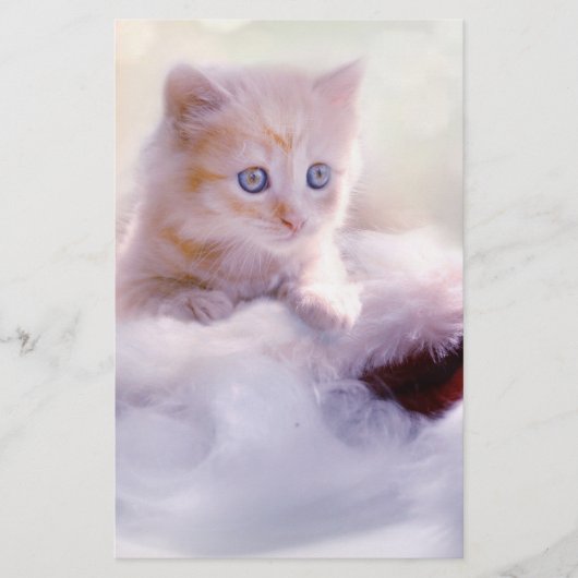 Weihnachten Kitten Briefpapier (Vorderseite)