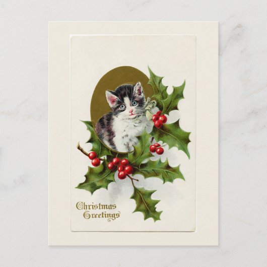 Weihnachten Kitten White Postcard (Vorderseite)