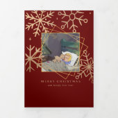 Weihnachten kommt aber einmal dreimal Pet Holiday  Dreifach Gefaltete Karte (Cover)