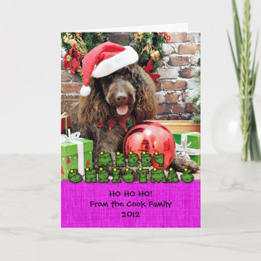Weihnachten - LabraDoodle - Harley (Vorderseite)