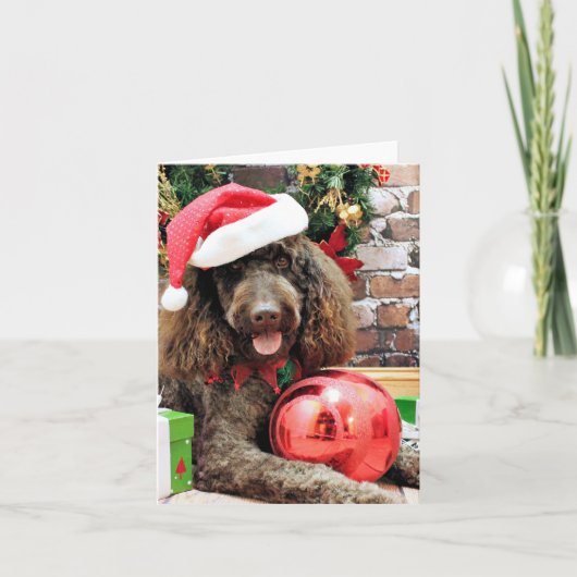 Weihnachten - LabraDoodle - Harley (Vorderseite)