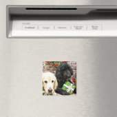 Weihnachten - Labradoodle Miller - Golden Retrieve Magnet (In Situ (Geschirrspüler))