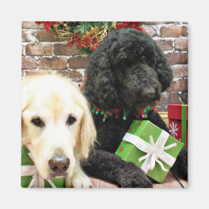 Weihnachten - Labradoodle Miller - Golden Retrieve Magnet