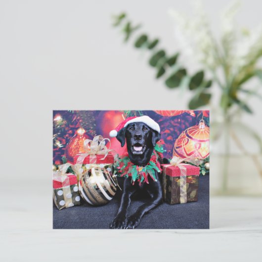 Weihnachten - Labrador - Cooper (Stehend Vorderseite)