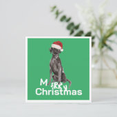 Weihnachten Labrador Hund White Green Merry Gruß (Stehend Vorderseite)