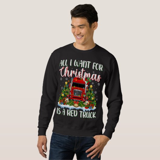Weihnachten leuchtet Weihnachten Alles, was ich zu Sweatshirt (Vorne ganz)