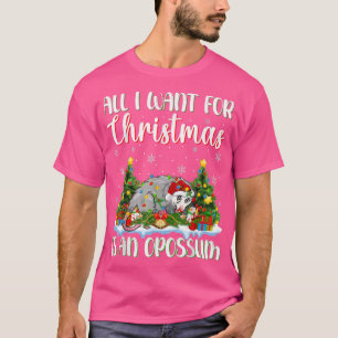 Weihnachten leuchtet Weihnachten Alles, was ich zu T-Shirt