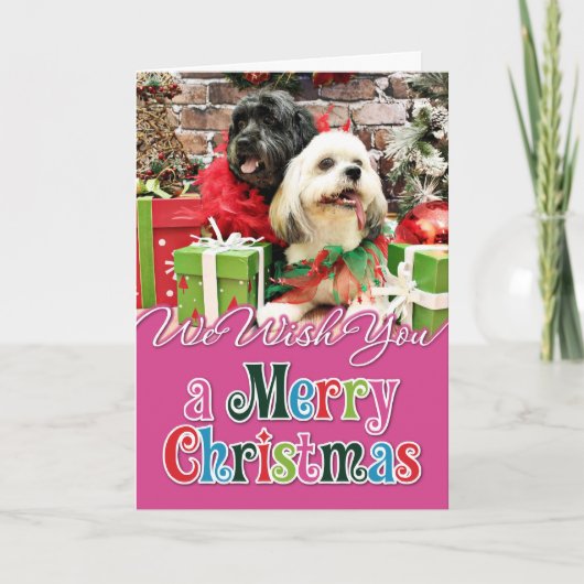 Weihnachten - Lhasa Apso - Klee und Elf (Vorderseite)