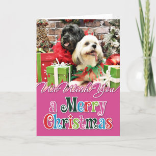 Weihnachten - Lhasa Apso - Klee und Elf