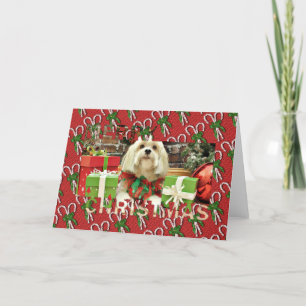 Weihnachten - Lhasa Apso - Muffie