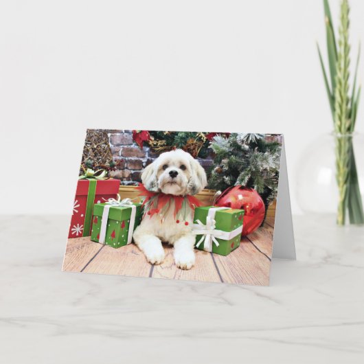 Weihnachten - Lhasa Apso - Muffie (Vorderseite)