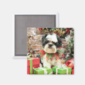Weihnachten - Lhasa Apso - Parker Magnet (Vorderseite/Rückseite)