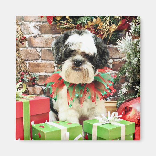 Weihnachten - Lhasa Apso - Parker Magnet (Vorne)