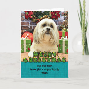 Weihnachten - Lhasa Apso - Solo