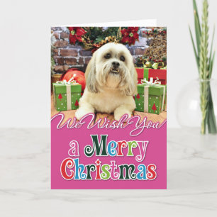 Weihnachten - Lhasa Apso - Solo