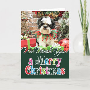 Weihnachten - Lhasa Apso X - Parker