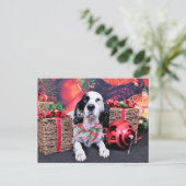 Weihnachten - Louellen Setter - Veruka (Stehend Vorderseite)