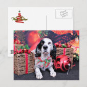 Weihnachten - Louellen Setter - Veruka (Vorne/Hinten)