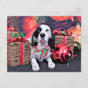 Weihnachten - Louellen Setter - Veruka