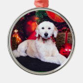 Weihnachten - Maggie - GoldenDoodle Ornament Aus Metall (Vorne)