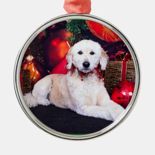 Weihnachten - Maggie - GoldenDoodle Ornament Aus Metall (Vorne)