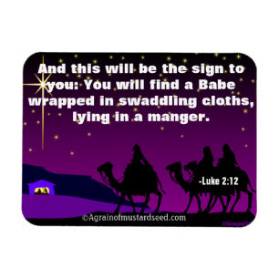 Weihnachten Magnet