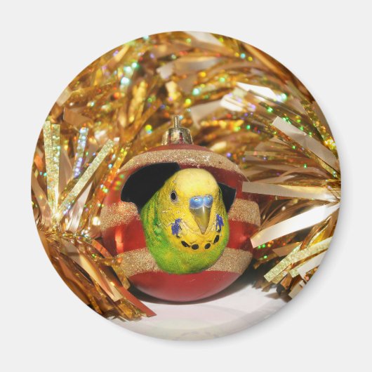 Weihnachten Magnet (Vorne)