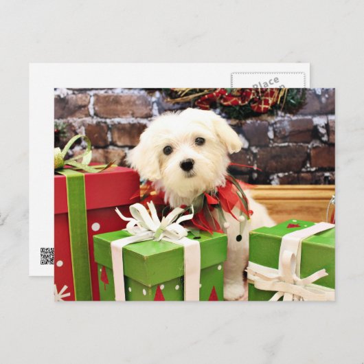 Weihnachten - maltesisch - Blitz (Vorne/Hinten)