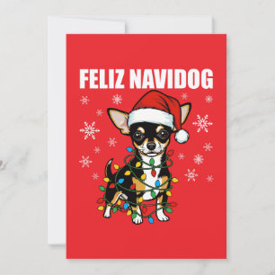 Weihnachten mit Chihuahua