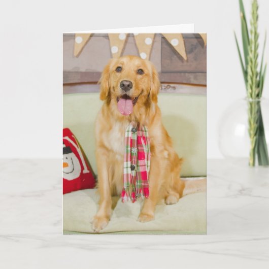 Weihnachten mit Lily Chanel (Vorderseite)