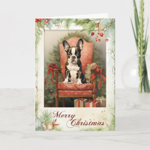 Weihnachten mit viktorianischem Boston Terrier Wel