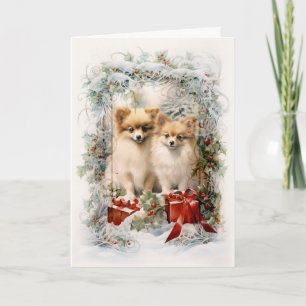 Weihnachten mit viktorianischem Pomeranian-Welpen