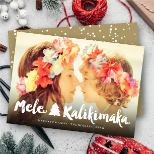 Weihnachten mit weißer Pinsel-Schrift - Foto