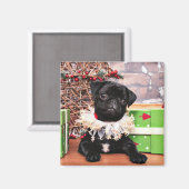 Weihnachten - Mops - Daisy Mae Magnet (Vorderseite/Rückseite)