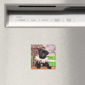 Weihnachten - Mops - Daisy Mae Magnet (In Situ (Geschirrspüler))